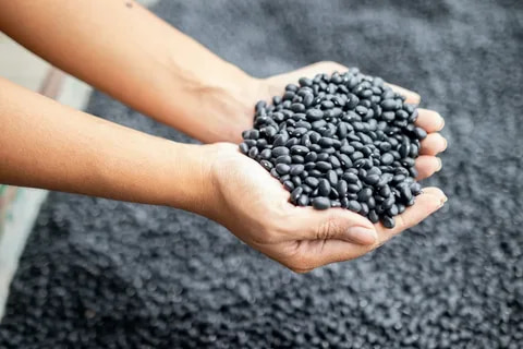 تصویر 3 از قیمت خرید گندله آهن اسفنجی + فروش صادراتی